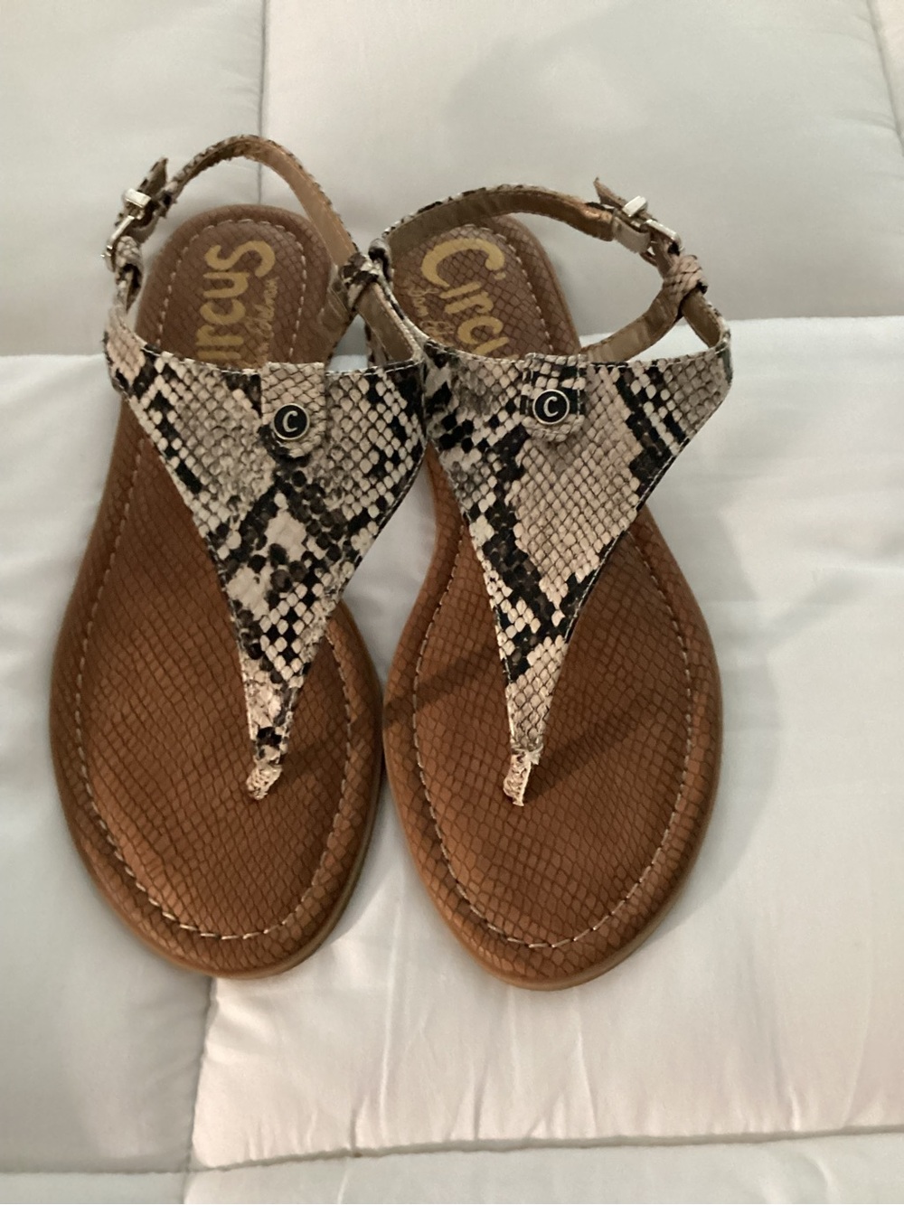 Circus by Sam Edelman Faux Snake-Print Thong Sandals in Brown and Beige